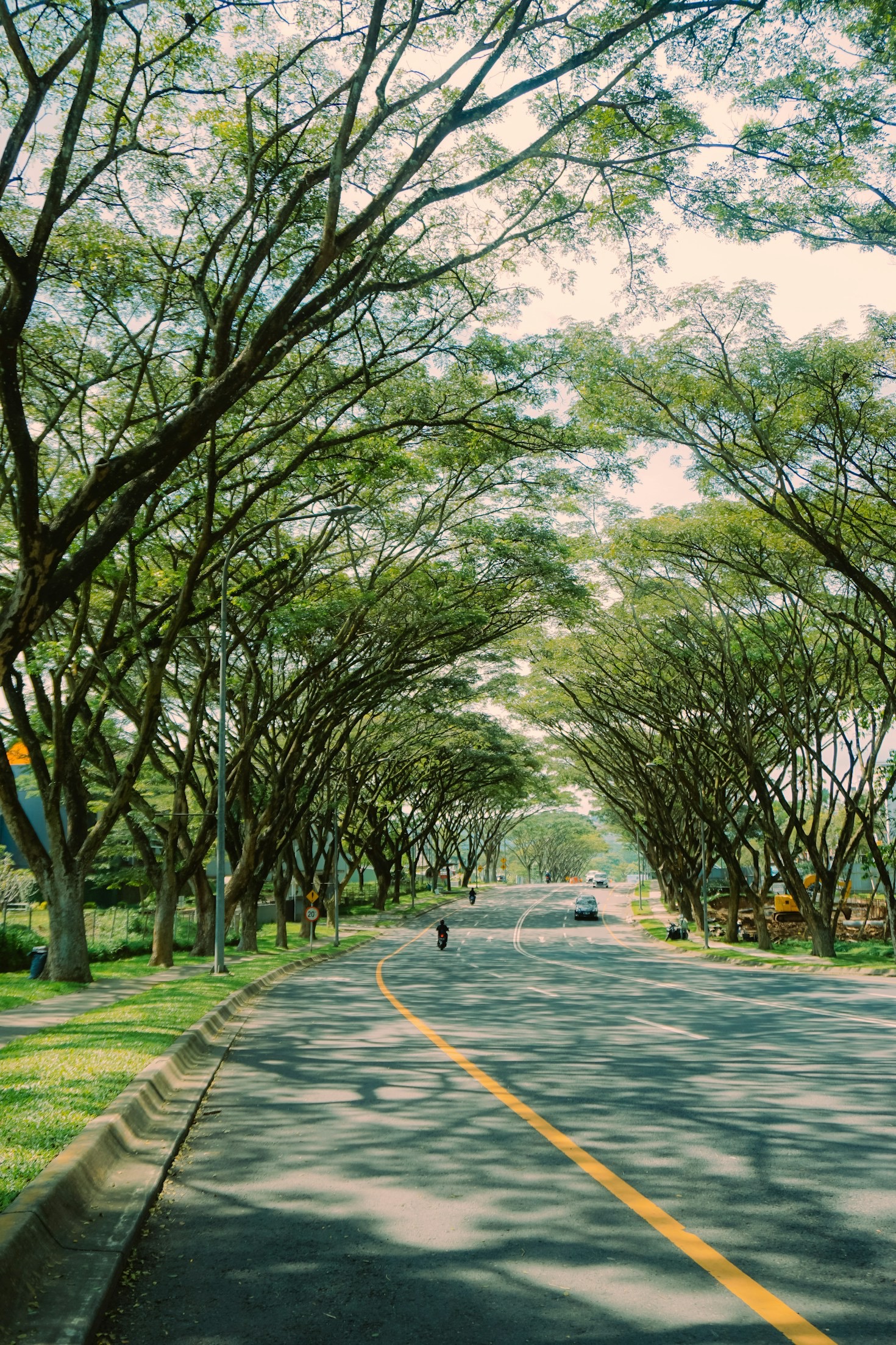 Lessons Learned from Daily Experiences